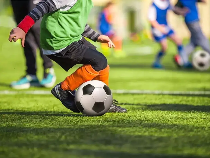 之间的纽带 之间的纽带