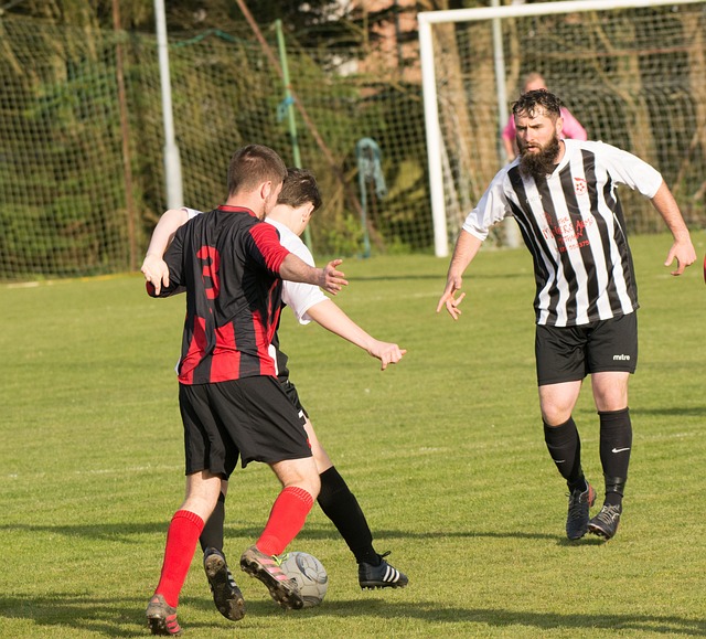 在国际上的 在国际上的