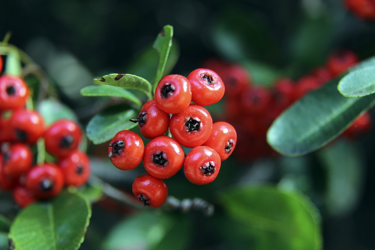 在更大的国 在更大的国