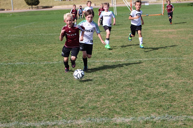 的发展趋势 的发展趋势