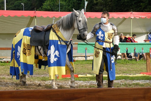 不少巴西球 不少巴西球